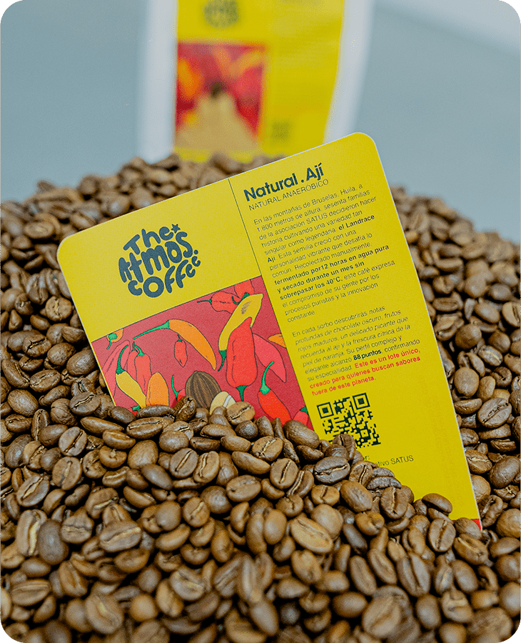 Bourbon.Ají - Imagen 3