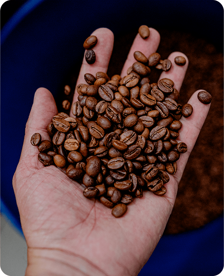 Bourbon.Ají - Imagen 6