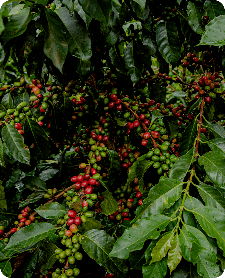 Blend.Juanbe - Imagen 4